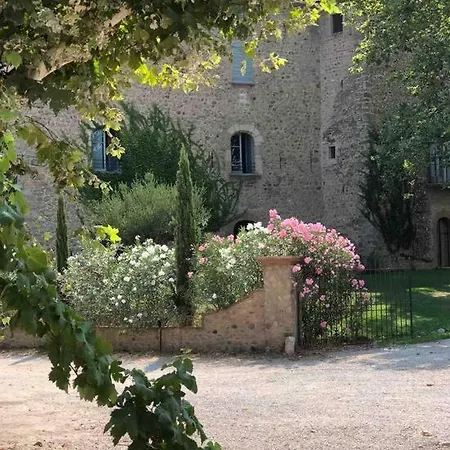 Villa Château De Villeclare - 2 Nuits Minimum Palau-del-Vidre